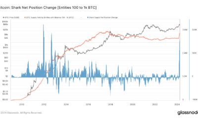 Bitcoin accumulation hits decade high among ‘Shark’ cohort