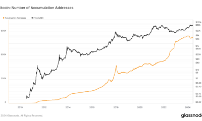 Bitcoin accumulation addresses surge as market optimism returns
